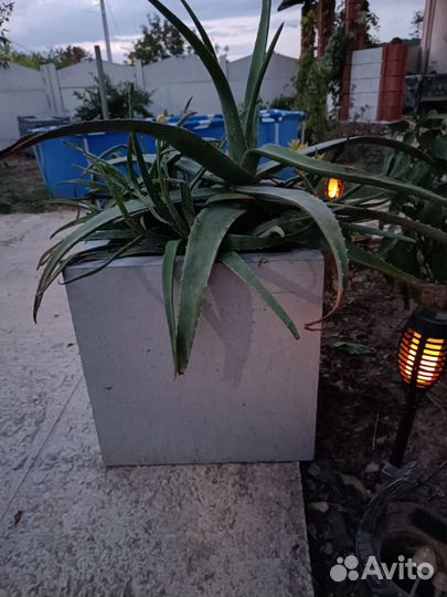 Уличные вазоны бетонные