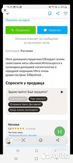 Мята домашняя