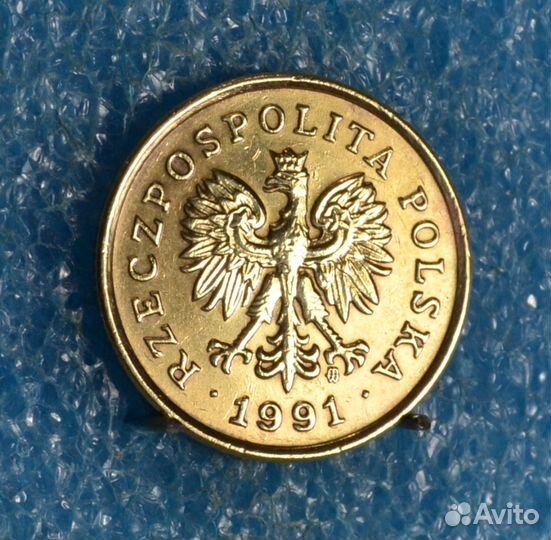 Монеты Польши