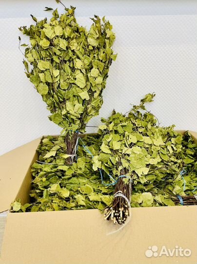 Веник березовый для бани и сауны