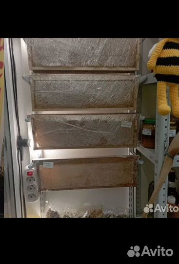 Крымский-Мёд(домашнее масло)