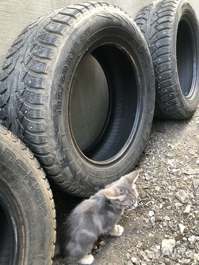 Acustica Challenger 185/60 R14 82T