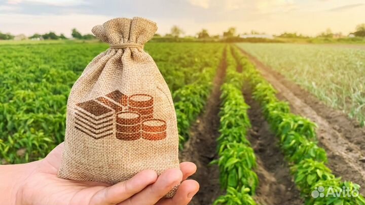 Руководитель отдела продаж