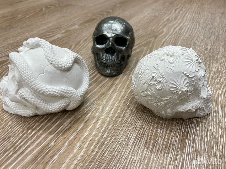 Черепа из гипса