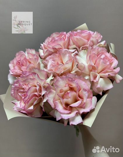 101 роза Цветы