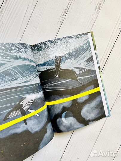 На краю света. Анна Десницкая