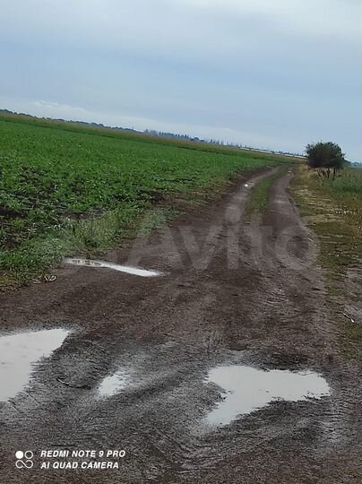 Участок 13 га (СНТ, ДНП)