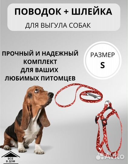 Шлейка для маленькой собаки и кошки