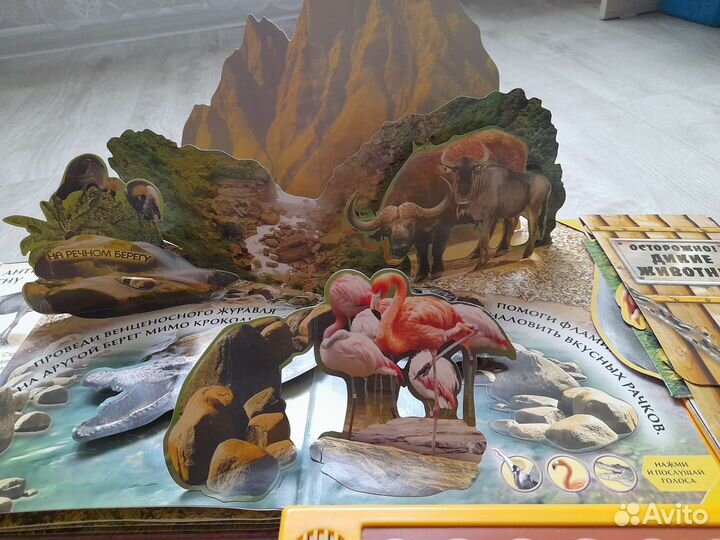 Книжки для малышей