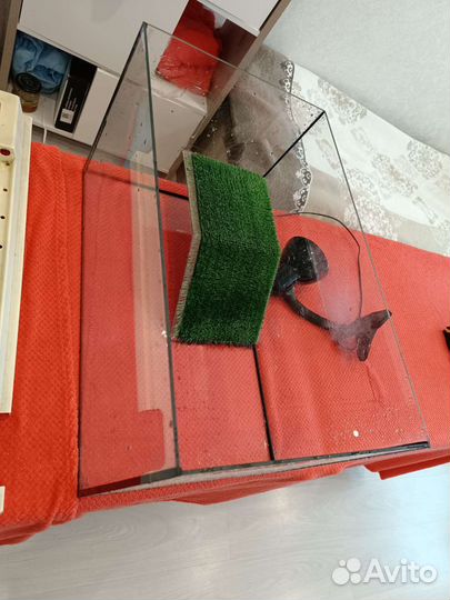 Аквариум 50 литров