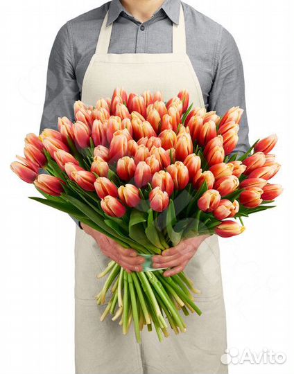 Букет Тюльпанов Jean Bust 101 шт