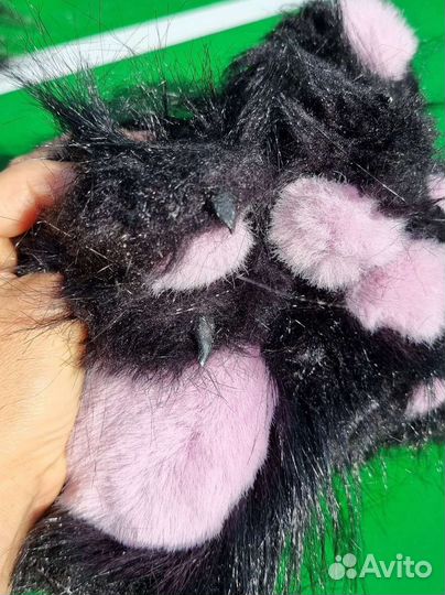 Фурсьют волка