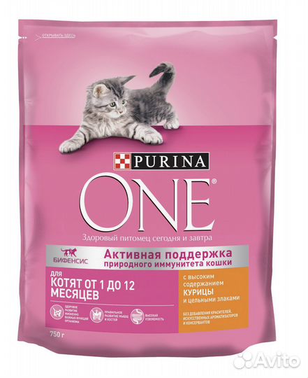 Корм для котят