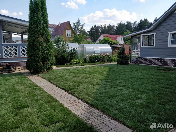 Рулонный газон