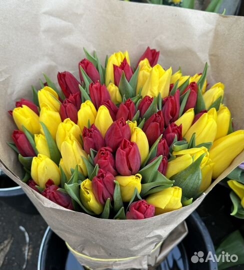 Тюльпаны с луковицами