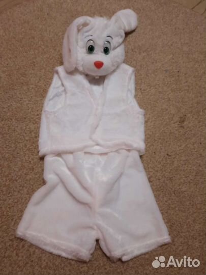 Зайчик на прокат