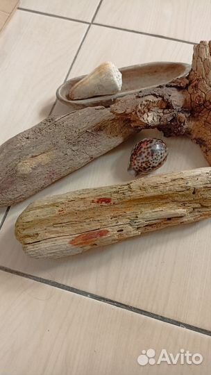 Коряги, дрифтвуд