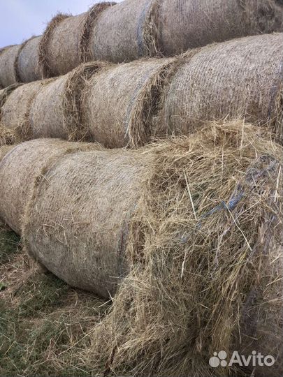 Сено в рулонах