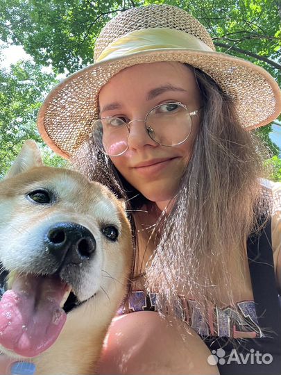 Зооняня/Передержка животных/Догситтер