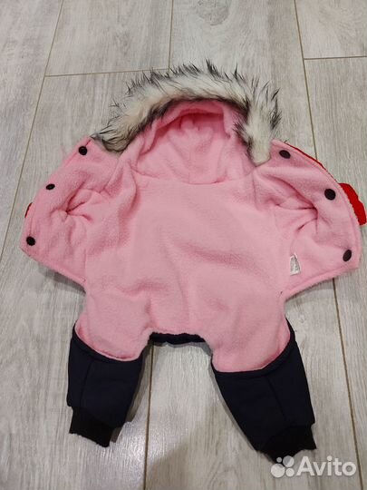 Одежда для собак мелких пород