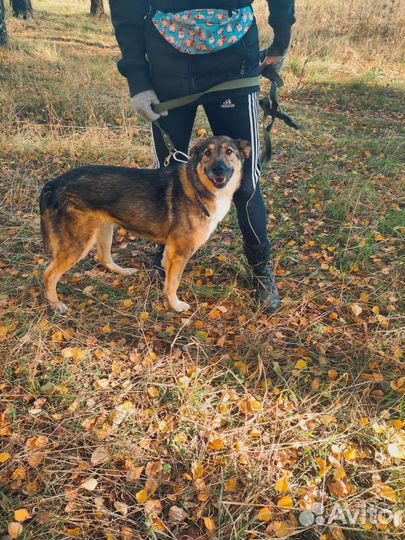 Таких не выбирают