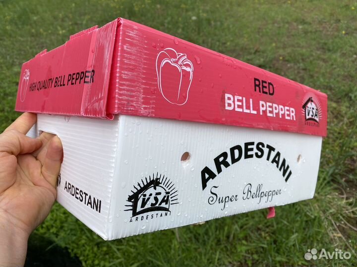 Пластиковая коробка для хранения