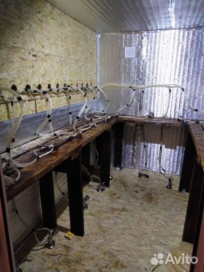 Ремонт, установка, промывка пивного оборудования