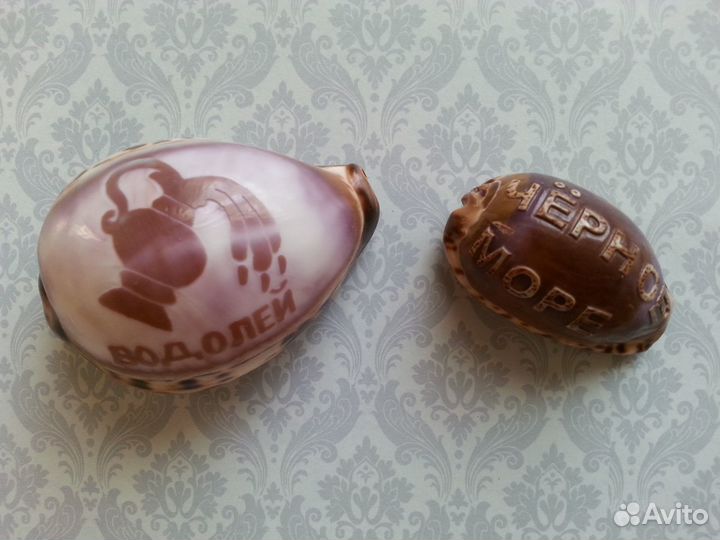 Сувенир из ракушек