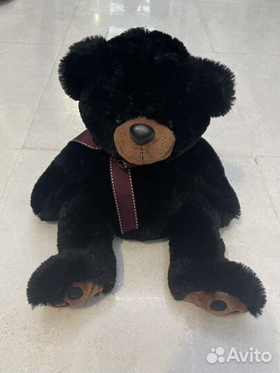 Новый медведь Aurora