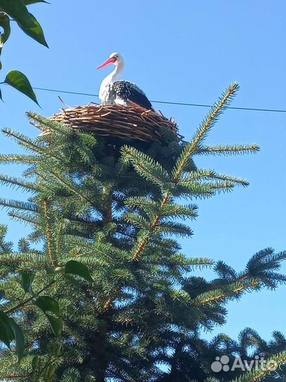 Гнездо для аиста / декора
