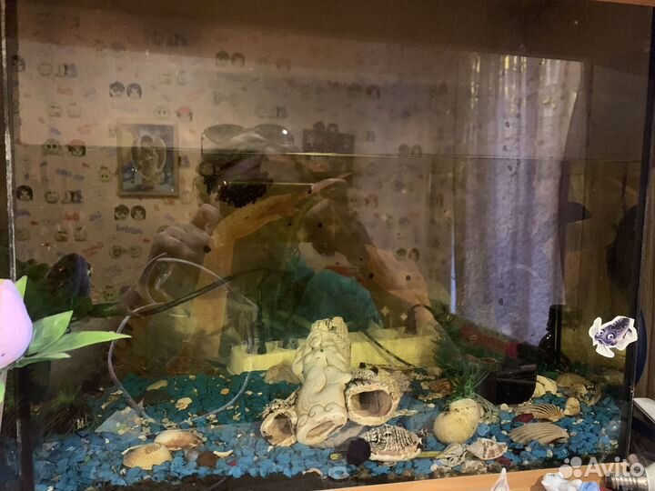 Аквариум для рыбок
