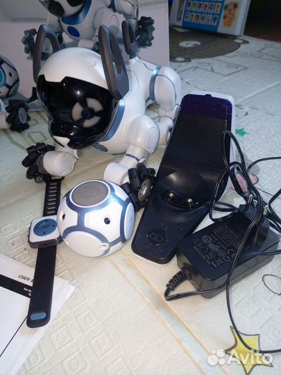 Робот собака chip