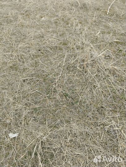 Продам электроды черные и нержавеющие колодки торм