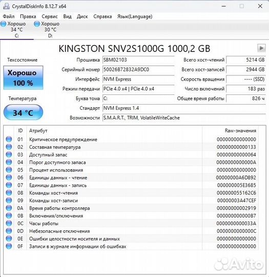 SSD m2 Kingston NV2 1TB
