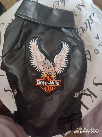 Вещи для маленьких собак