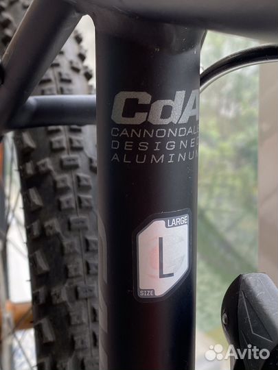 Cannondale EN 14766 Trail SL 3 bike