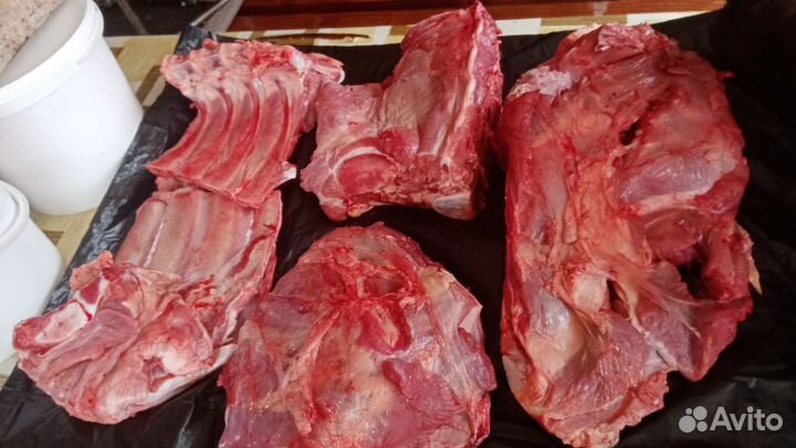 Мясо свинины, козлятины баранины