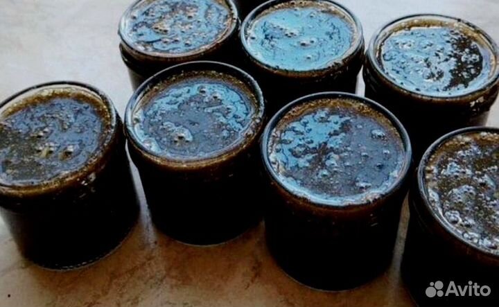 Поднимающий мужской мёд