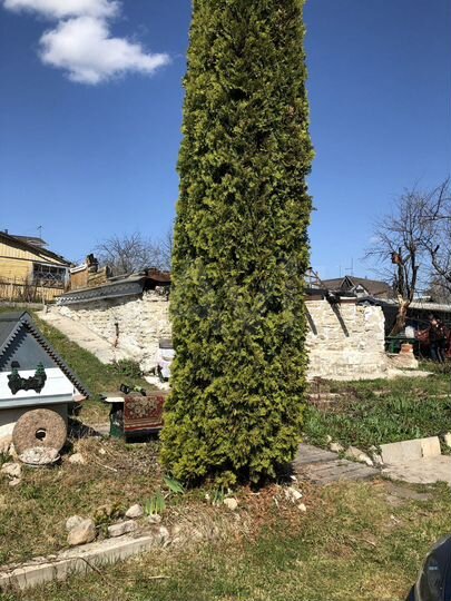 Участок 7 сот. (СНТ, ДНП)