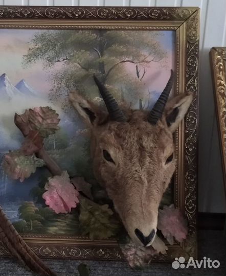 Чучело головы оленя и тура