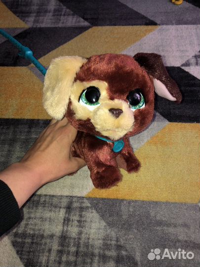 Каталка собачка говорящая