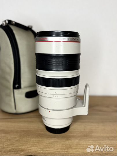 Canon EF 100-400mm f/4-5.6L IS USM