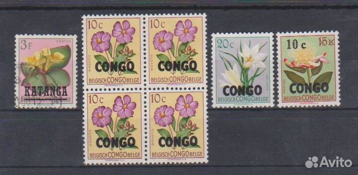 Бельгийские колонии