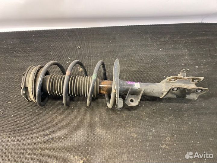 Амортизатор передний Nissan X-Trail T31