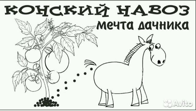 Конский навоз в мешках (отборный)