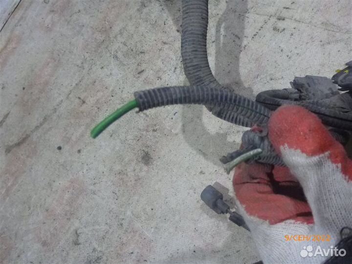 Проводка моторного отсека Ford Focus DF 2.0 2000