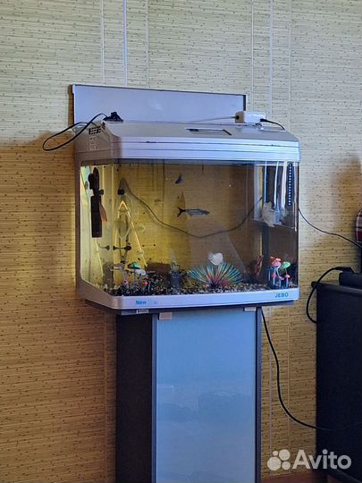 Аквариум jebo 100л