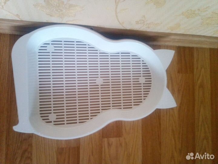 Котёнок беленький