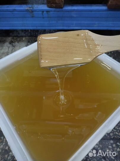 Свежий мёд эспарцет Качка 2023 год Опт