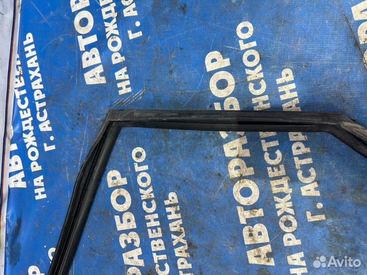 Уплотнитель стекла двери Nissan Murano Z50